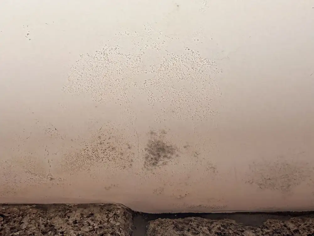 Manchas de bolor por condensação num teto, por cima de uma parede de granito