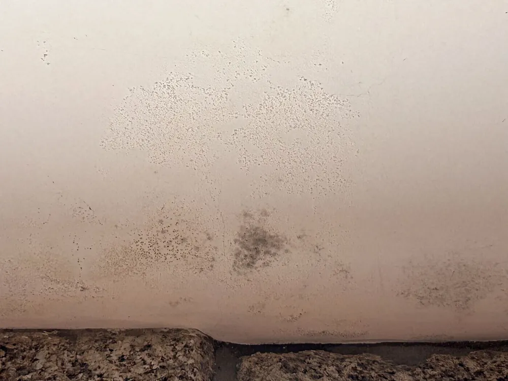 Damp and mould spotting on plaster just above the exposed granite base of a wall in a Minho quinta