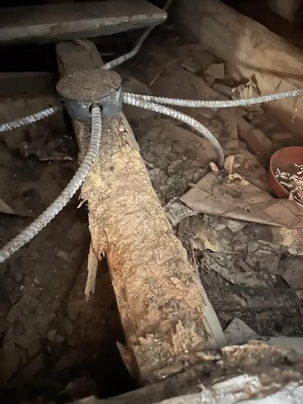 Deteriorated timber in an attic with old cable runs lying across it