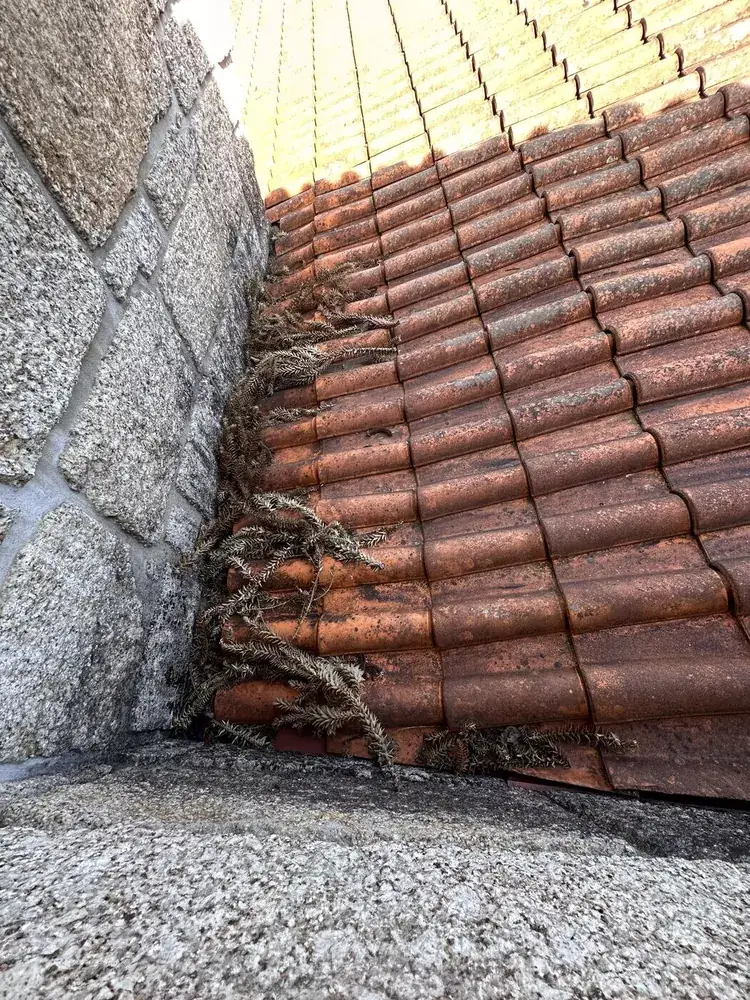Clay tile roof meeting a granite wall, with dead vegetation and debris packed into the junction
