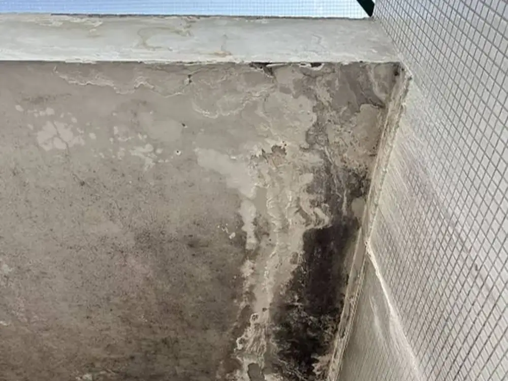 Bolor negro e manchas de água numa viga de betão num saguão