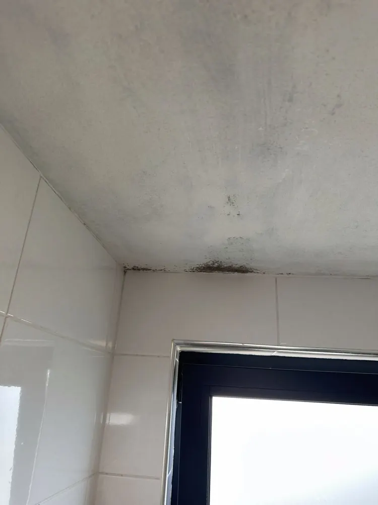 Mould on the ceiling corner above a bathroom window