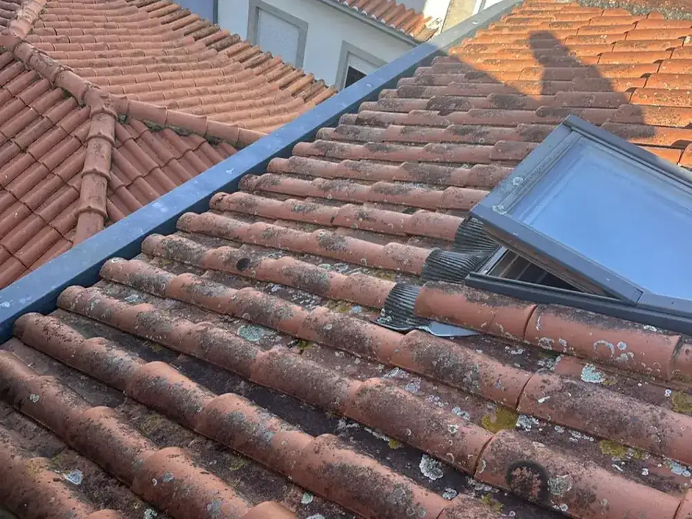 Older clay tile roof with lichen, moss and a roof window over an apartment building