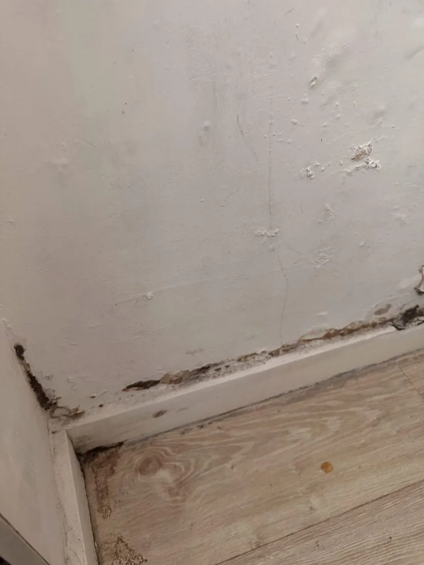 Tide marks above a skirting board from rising damp in a Porto house