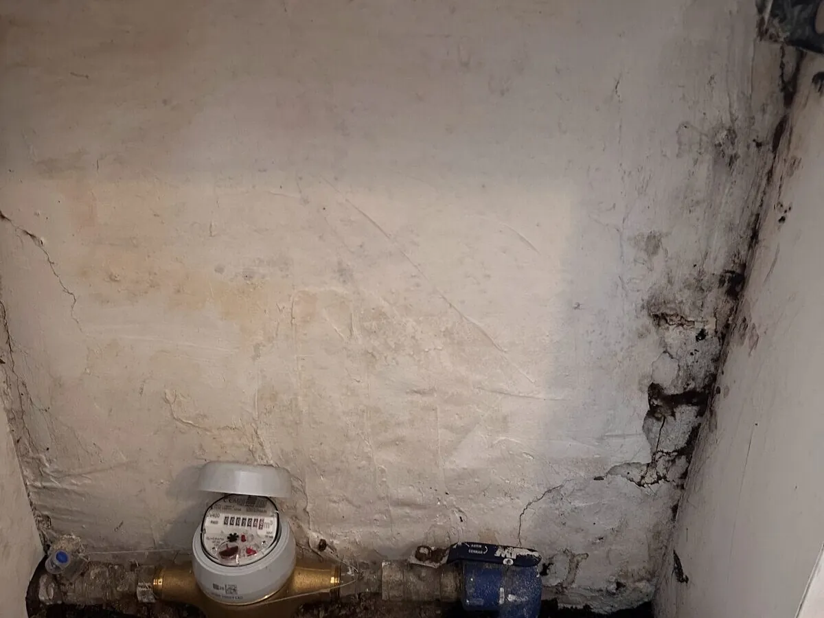 Caixa do contador de água com reboco empolado e bolor negro numa casa no Porto