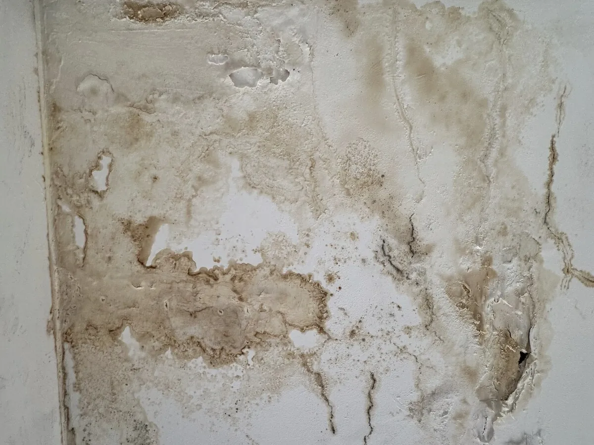 Water-stained and blown plaster on a wall below a roof terrace in an apartment
